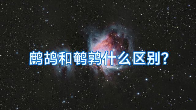 鹧鸪和鹌鹑什么区别?