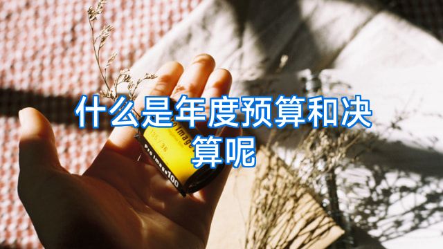 什么是年度预算和决算呢
