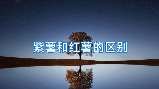 紫薯和红薯的区别
