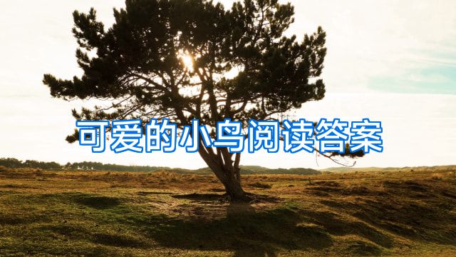 可爱的小鸟阅读答案