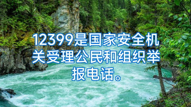 12399是国家安全机关受理公民和组织举报电话。