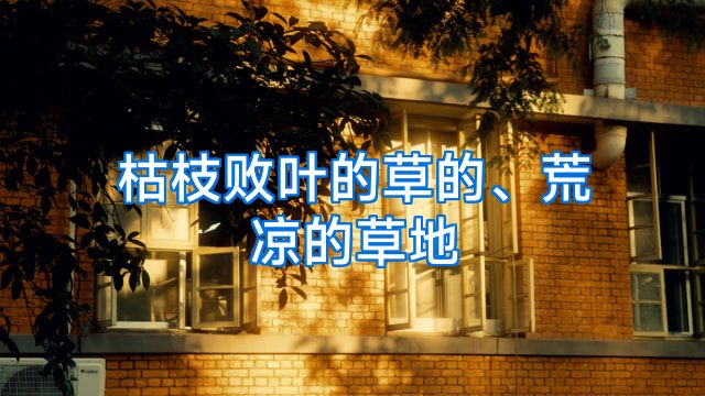 枯枝败叶的草的、荒凉的草地