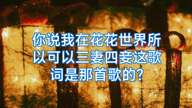 你说我在花花世界所以可以三妻四妾这歌词是那首歌的?
