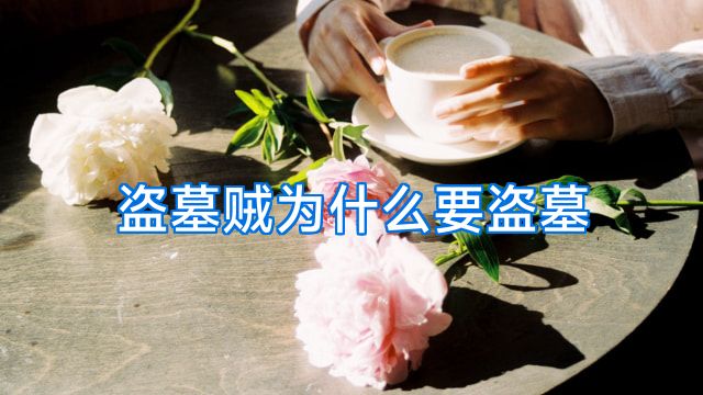 盗墓贼为什么要盗墓