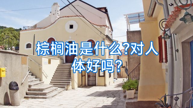 棕榈油是什么?对人体好吗?