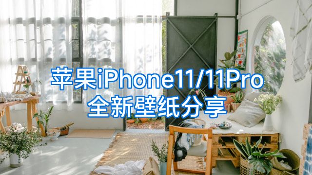 苹果iPhone11/11Pro全新壁纸分享