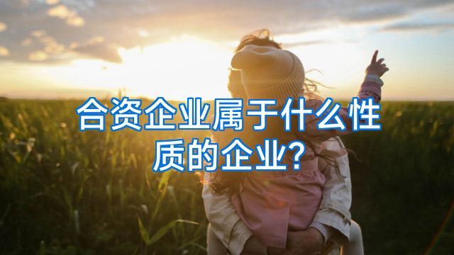 合资企业属于什么性质的企业?