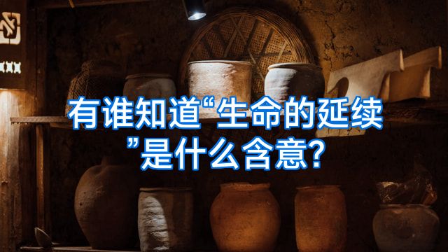 有谁知道“生命的延续”是什么含意?