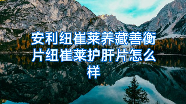安利纽崔莱养藏善衡片纽崔莱护肝片怎么样