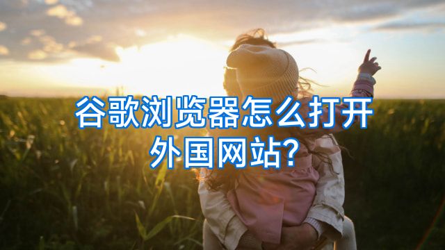 谷歌浏览器怎么打开外国网站?
