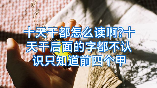 十天干都怎么读啊?十天干后面的字都不认识只知道前四个甲
