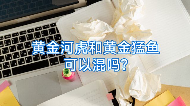 黄金河虎和黄金猛鱼可以混吗?