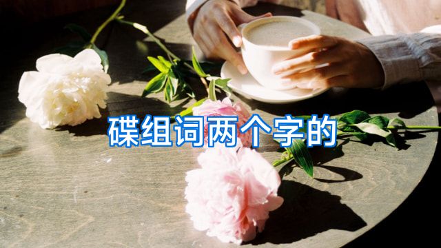 碟组词两个字的
