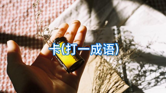 卡(打一成语)