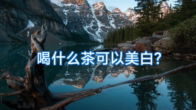 喝什么茶可以美白?
