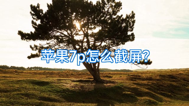 苹果7p怎么截屏?