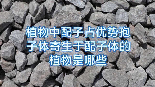 植物中配子占优势孢子体寄生于配子体的植物是哪些