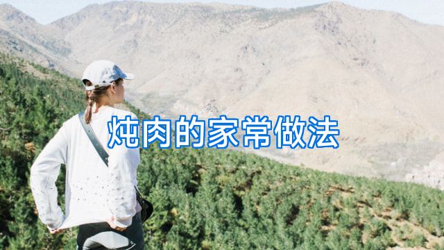 炖肉的家常做法