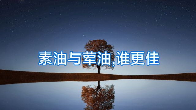 素油与荤油,谁更佳