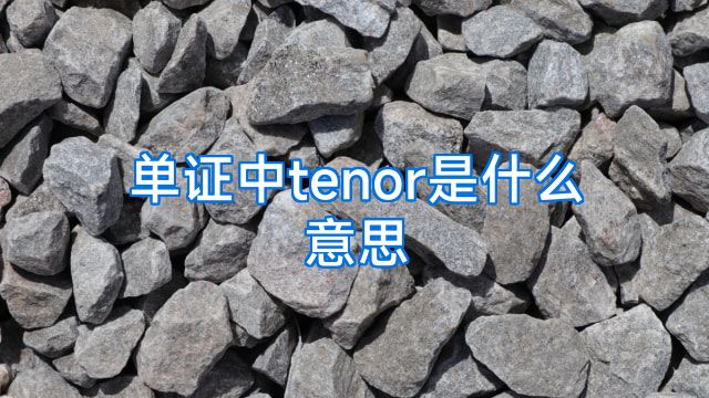 单证中tenor是什么意思