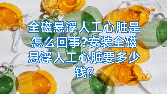 全磁悬浮人工心脏是怎么回事?安装全磁悬浮人工心脏要多少钱?