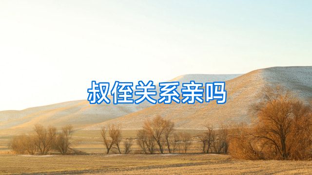 叔侄关系亲吗