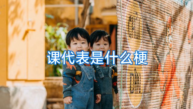 课代表是什么梗