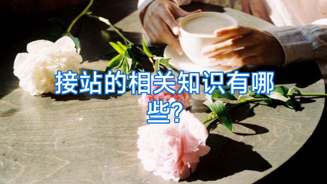 接站的相关知识有哪些?