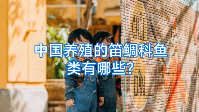 中国养殖的笛鲷科鱼类有哪些?