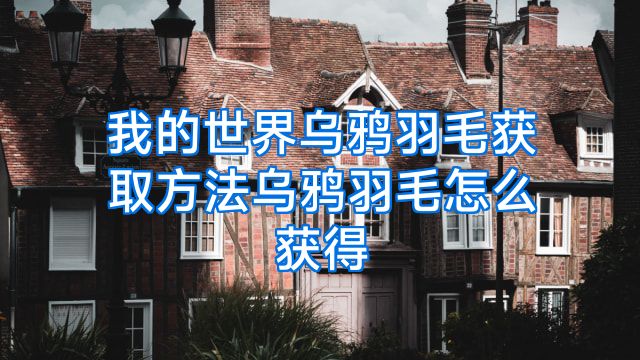 我的世界乌鸦羽毛获取方法乌鸦羽毛怎么获得