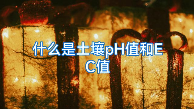 什么是土壤pH值和EC值
