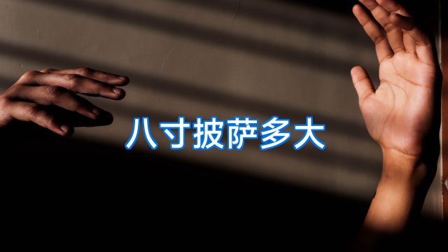 八寸披萨多大