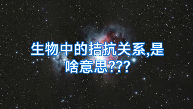 生物中的拮抗关系,是啥意思???