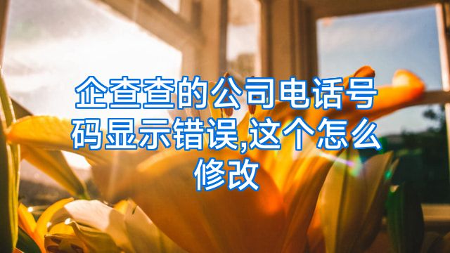 企查查的公司电话号码显示错误,这个怎么修改