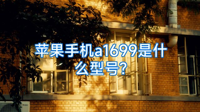 苹果手机a1699是什么型号?