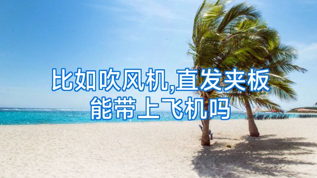 比如吹风机,直发夹板能带上飞机吗