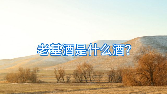 老基酒是什么酒?