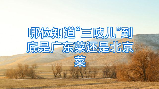 哪位知道“三吱儿”到底是广东菜还是北京菜