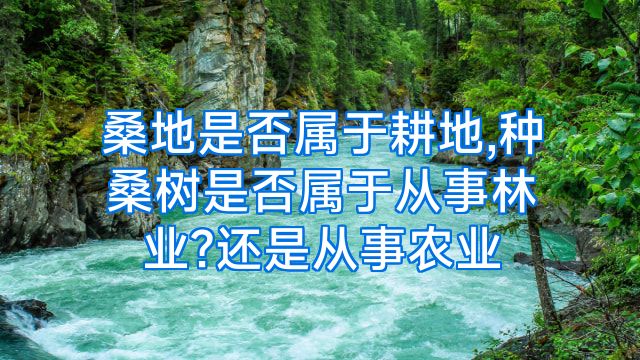 桑地是否属于耕地,种桑树是否属于从事林业?还是从事农业