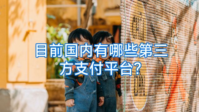目前国内有哪些第三方支付平台?