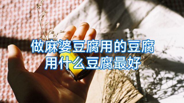 做麻婆豆腐用的豆腐用什么豆腐最好