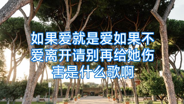 如果爱就是爱如果不爱离开请别再给她伤害是什么歌啊