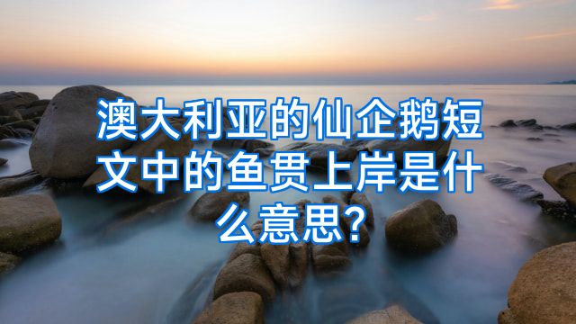 澳大利亚的仙企鹅短文中的鱼贯上岸是什么意思?