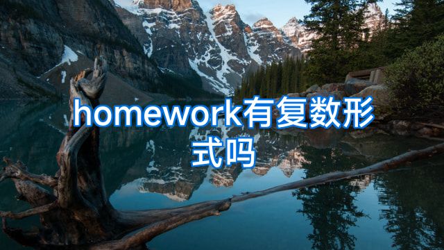 homework有复数形式吗