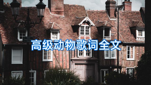 高级动物歌词全文