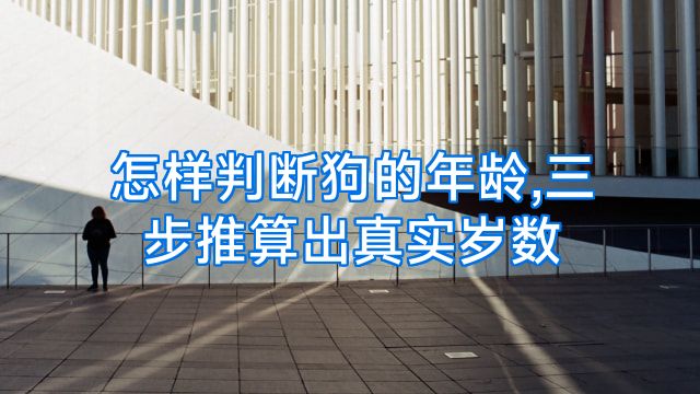 怎样判断狗的年龄,三步推算出真实岁数