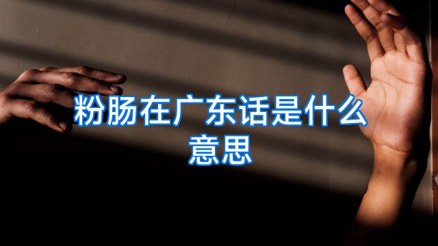 粉肠在广东话是什么意思