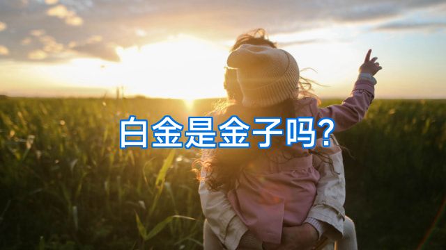 白金是金子吗?