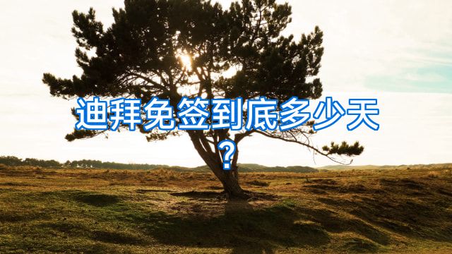 迪拜免签到底多少天?