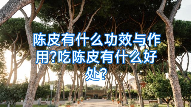 陈皮有什么功效与作用?吃陈皮有什么好处?